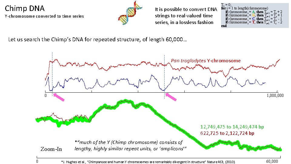 Chimp DNA Y-chromosome converted to time series It is possible to convert DNA strings