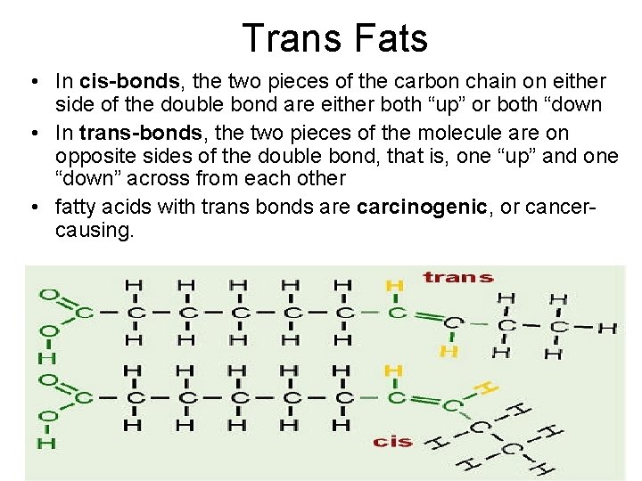 Trans Fats • In cis-bonds, the two pieces of the carbon chain on either