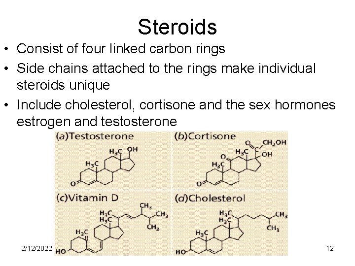 Steroids • Consist of four linked carbon rings • Side chains attached to the