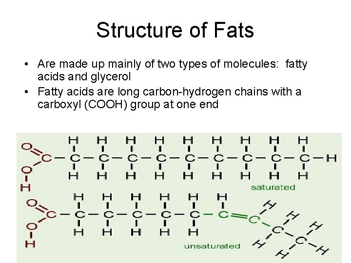 Structure of Fats • Are made up mainly of two types of molecules: fatty