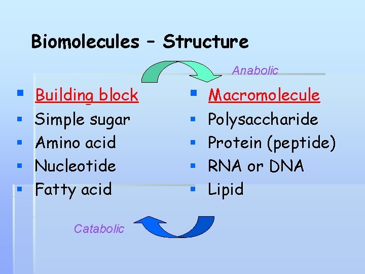 Biomolecules – Structure Anabolic § § § Building block Simple sugar Amino acid Nucleotide