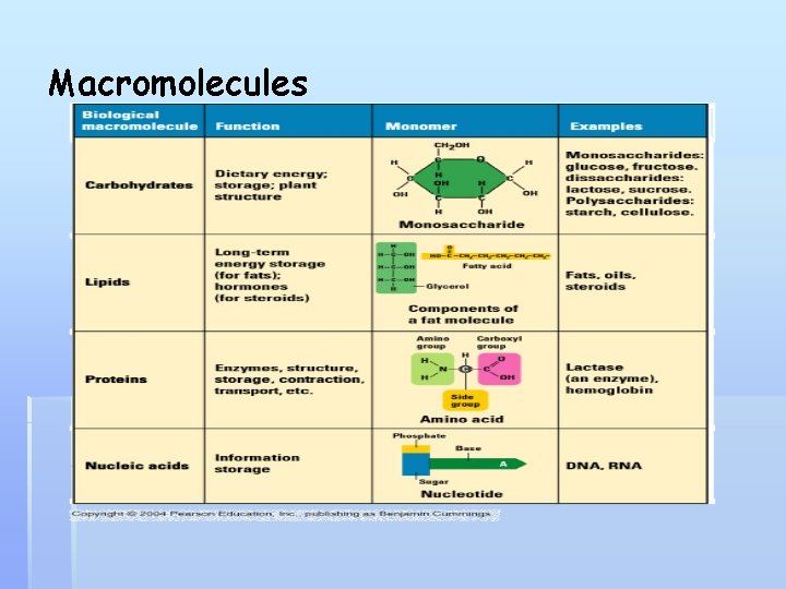 Macromolecules 