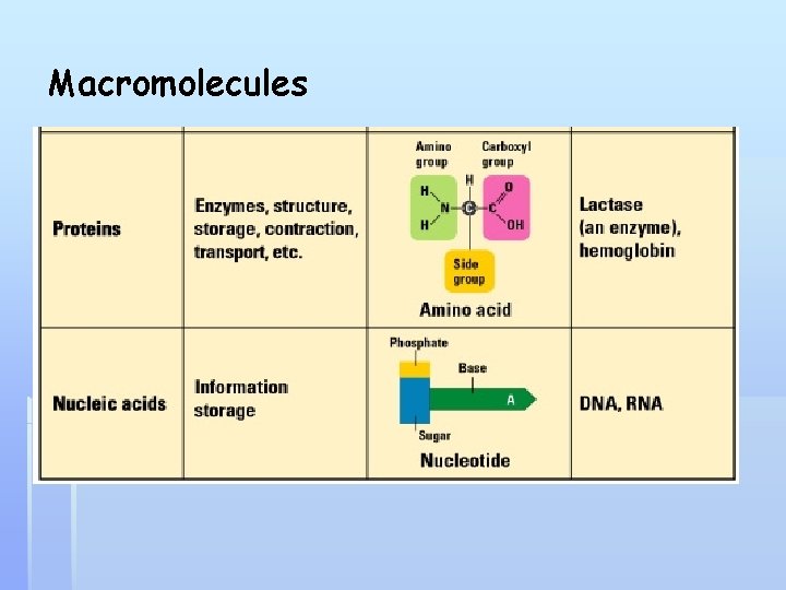 Macromolecules 