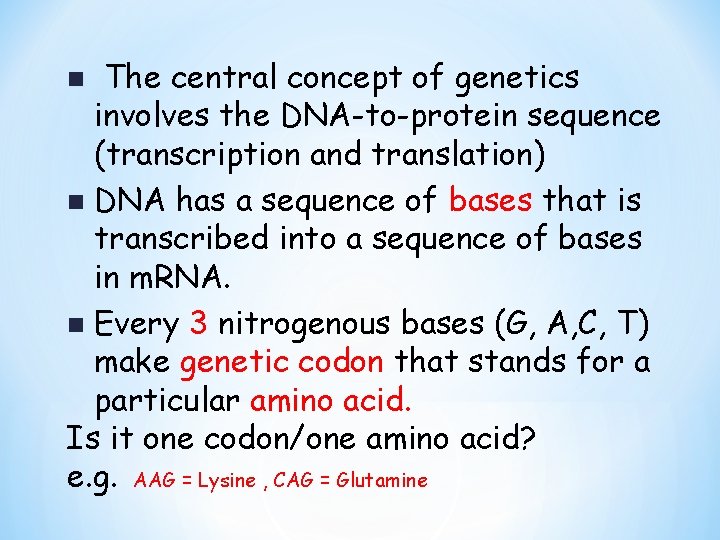 The central concept of genetics involves the DNA-to-protein sequence (transcription and translation) n DNA
