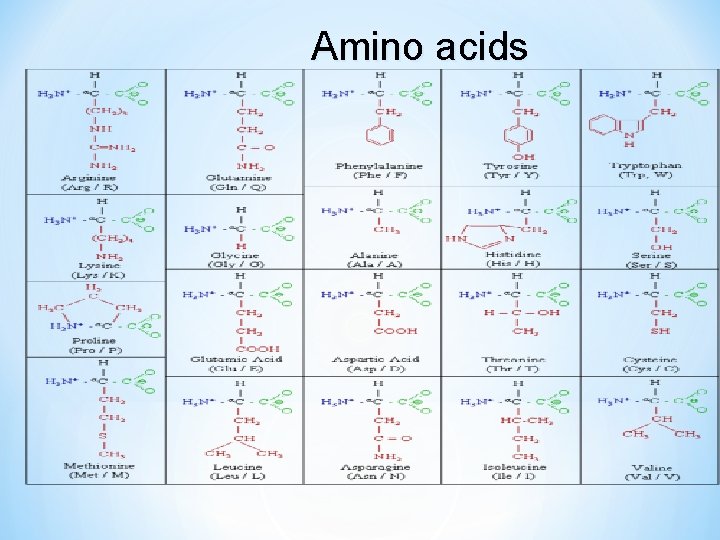 Amino acids 