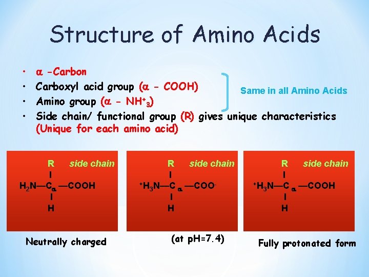 Structure of Amino Acids Aci • • -Carbon Carboxyl acid group ( - COOH)