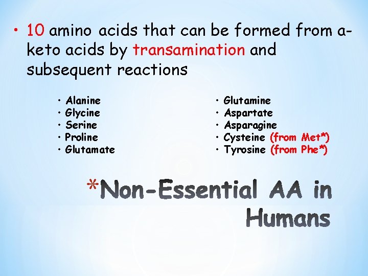  • 10 amino acids that can be formed from aketo acids by transamination