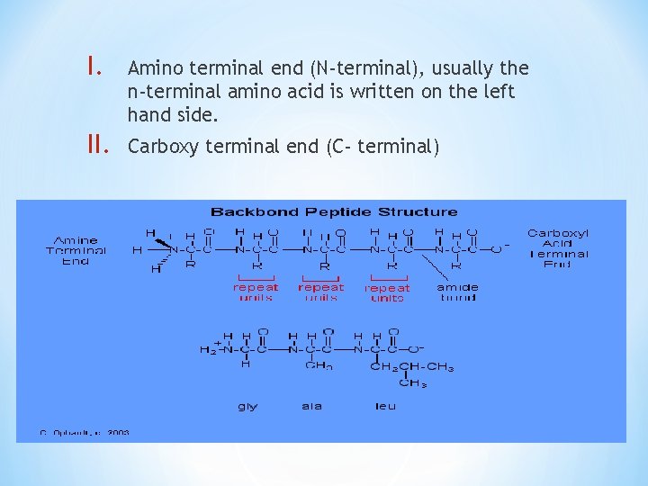 I. Amino terminal end (N-terminal), usually the n-terminal amino acid is written on the