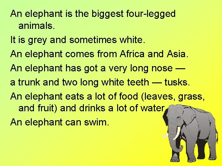An elephant is the biggest four-legged animals. It is grey and sometimes white. An