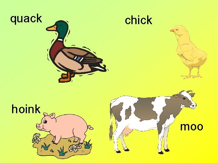 quack chick hoink moo 