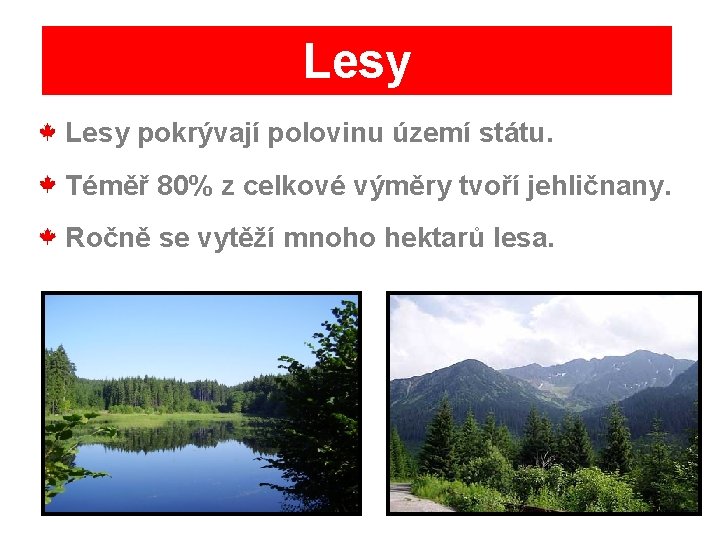 Lesy pokrývají polovinu území státu. Téměř 80% z celkové výměry tvoří jehličnany. Ročně se