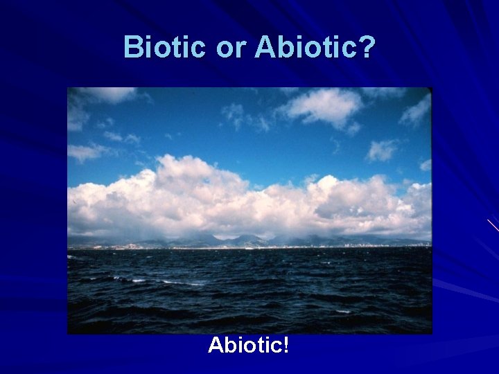 Biotic or Abiotic? Abiotic! 
