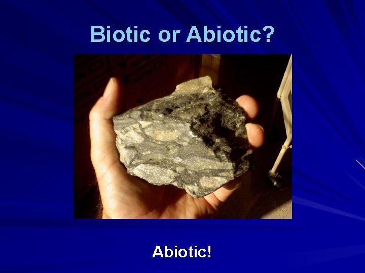 Biotic or Abiotic? Abiotic! 