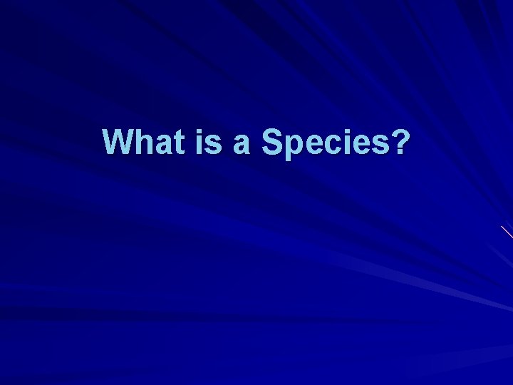 What is a Species? 