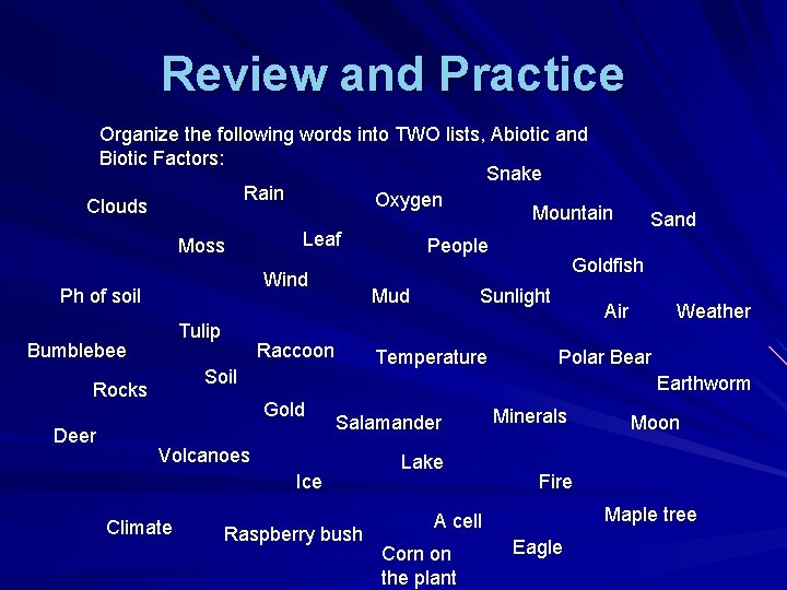 Review and Practice Organize the following words into TWO lists, Abiotic and Biotic Factors: