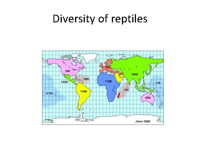 Diversity of reptiles 