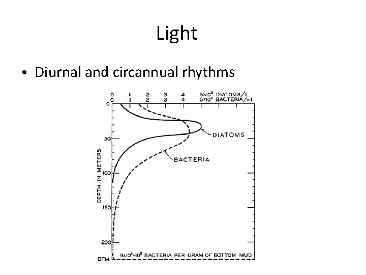 Light • Diurnal and circannual rhythms 