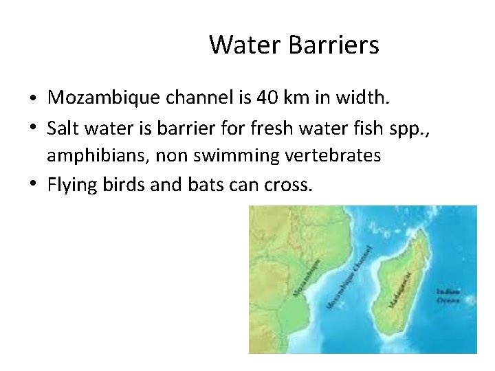 Water Barriers • Mozambique channel is 40 km in width. • Salt water is