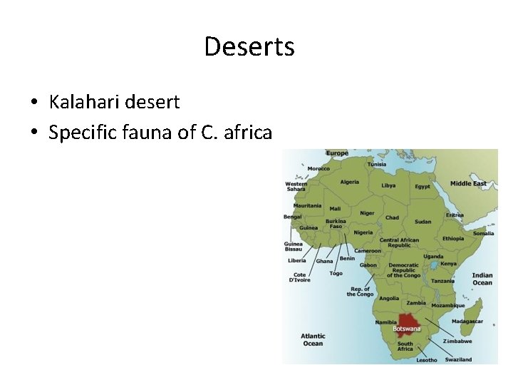 Deserts • Kalahari desert • Specific fauna of C. africa 