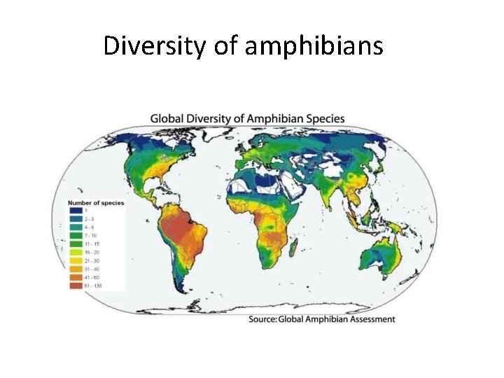 Diversity of amphibians 