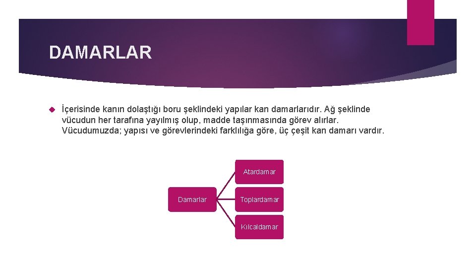 DAMARLAR İçerisinde kanın dolaştığı boru şeklindeki yapılar kan damarlarıdır. Ağ şeklinde vücudun her tarafına