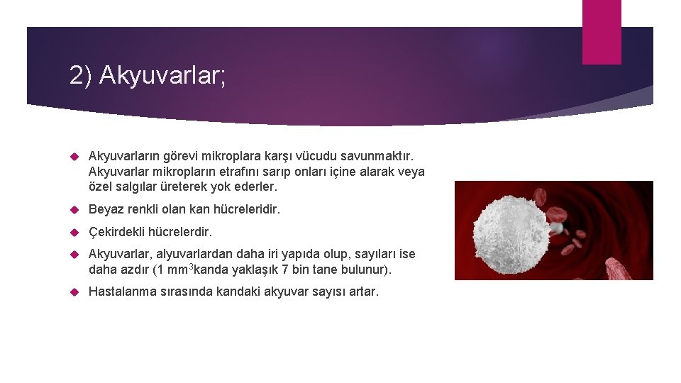 2) Akyuvarlar; Akyuvarların görevi mikroplara karşı vücudu savunmaktır. Akyuvarlar mikropların etrafını sarıp onları içine