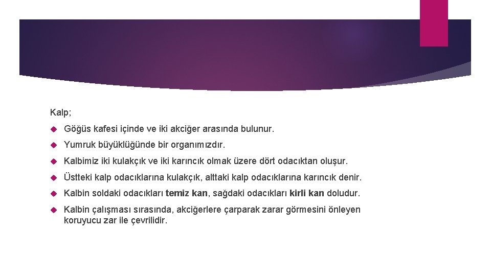 Kalp; Göğüs kafesi içinde ve iki akciğer arasında bulunur. Yumruk büyüklüğünde bir organımızdır. Kalbimiz