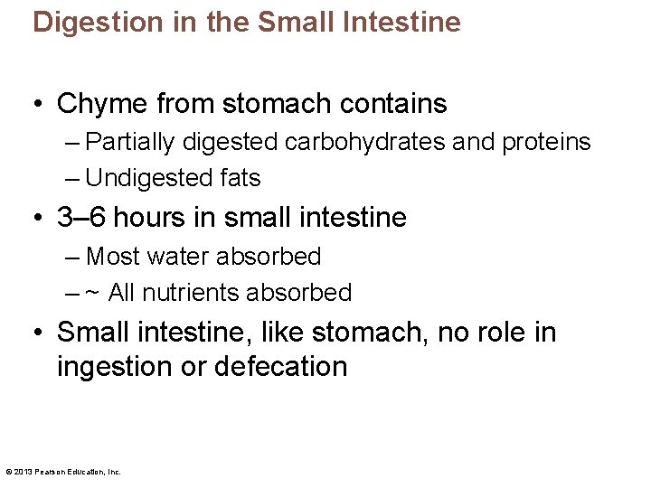 Digestion in the Small Intestine • Chyme from stomach contains – Partially digested carbohydrates