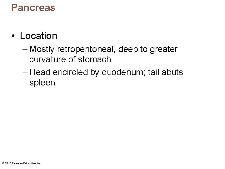 Pancreas • Location – Mostly retroperitoneal, deep to greater curvature of stomach – Head