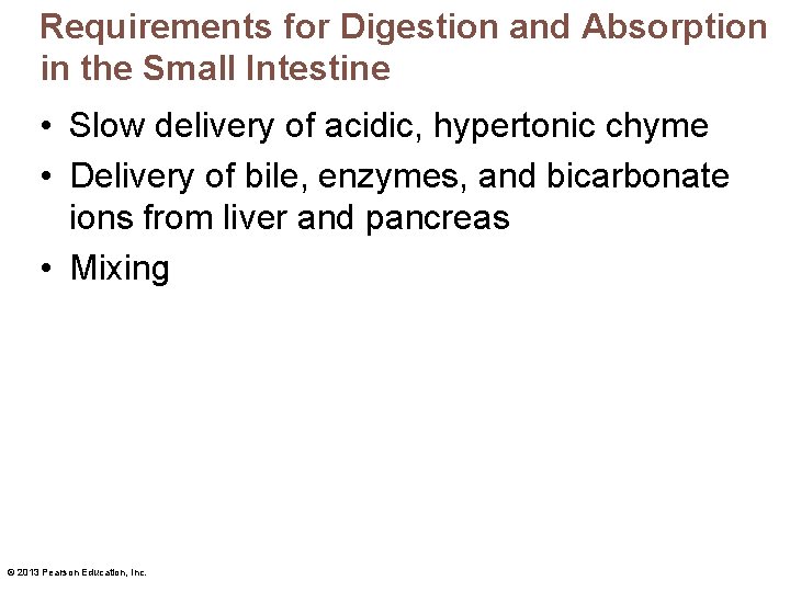 Requirements for Digestion and Absorption in the Small Intestine • Slow delivery of acidic,