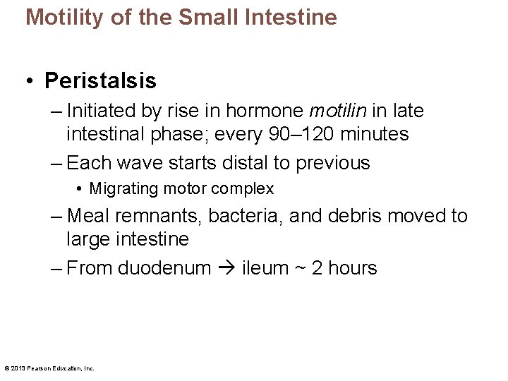 Motility of the Small Intestine • Peristalsis – Initiated by rise in hormone motilin