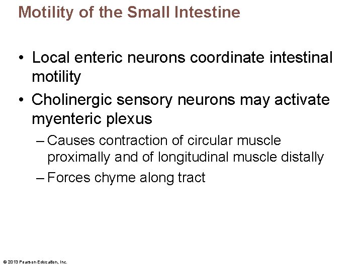 Motility of the Small Intestine • Local enteric neurons coordinate intestinal motility • Cholinergic