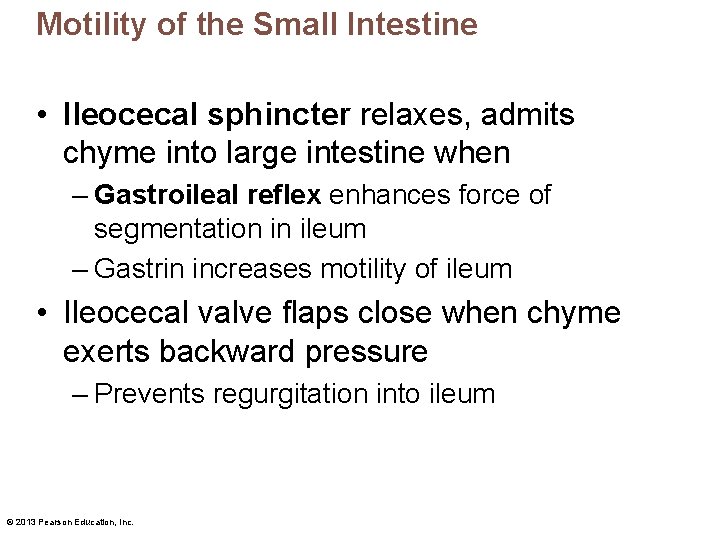 Motility of the Small Intestine • Ileocecal sphincter relaxes, admits chyme into large intestine
