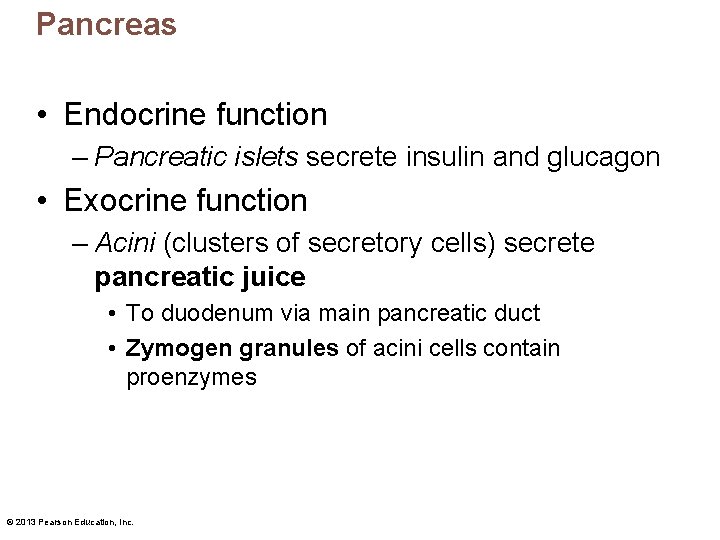 Pancreas • Endocrine function – Pancreatic islets secrete insulin and glucagon • Exocrine function