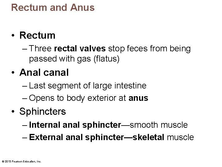 Rectum and Anus • Rectum – Three rectal valves stop feces from being passed