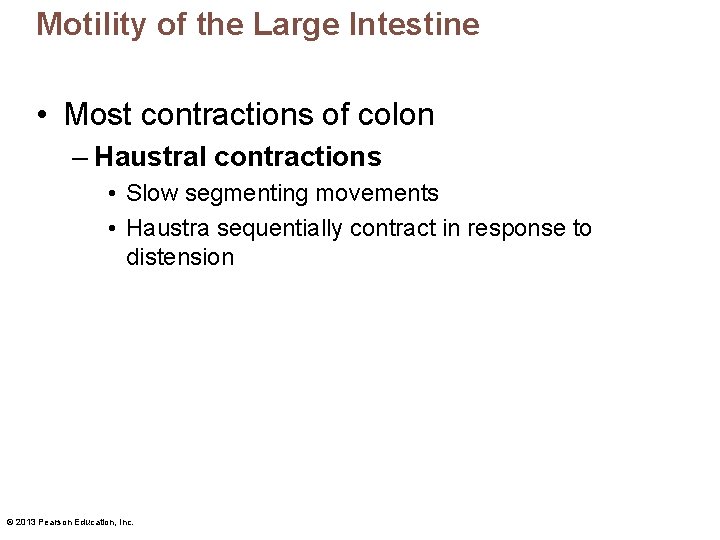 Motility of the Large Intestine • Most contractions of colon – Haustral contractions •