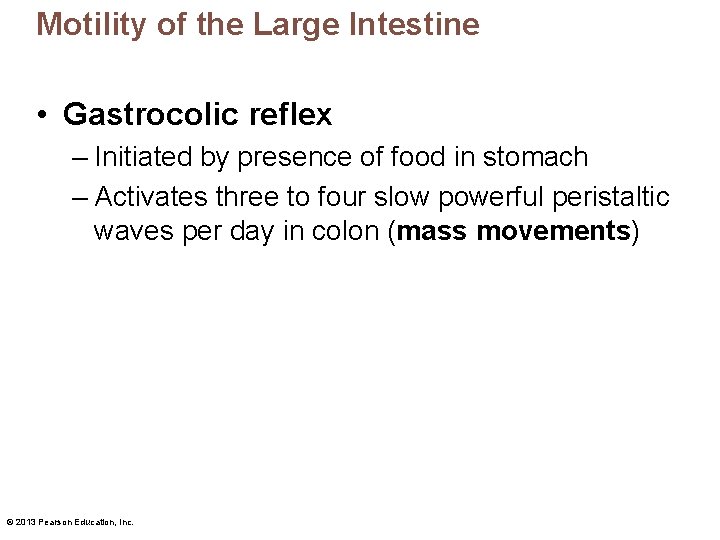 Motility of the Large Intestine • Gastrocolic reflex – Initiated by presence of food