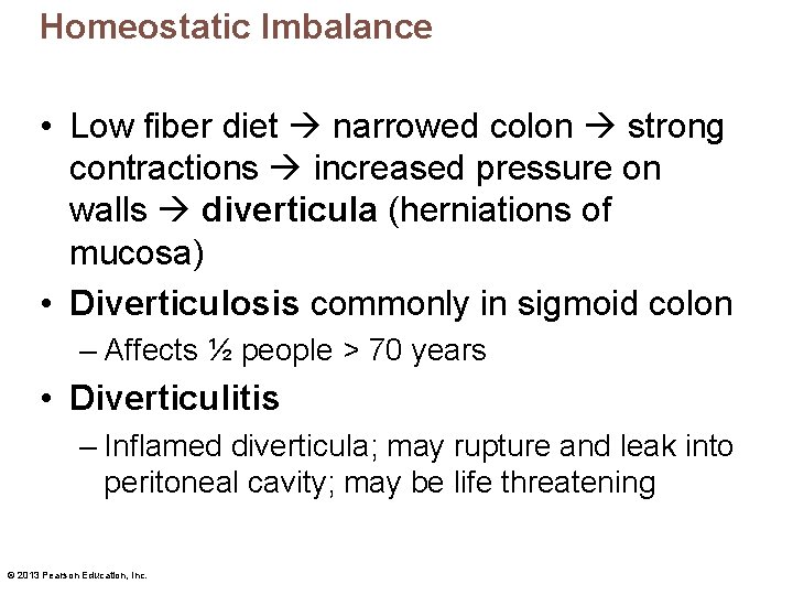Homeostatic Imbalance • Low fiber diet narrowed colon strong contractions increased pressure on walls