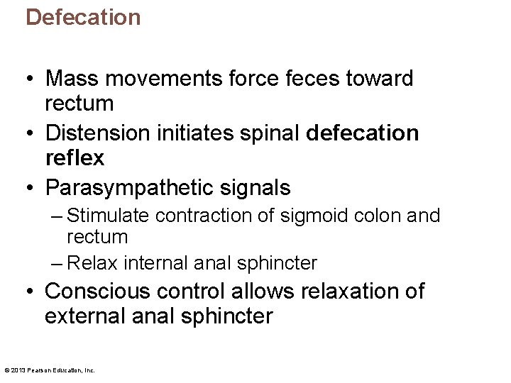 Defecation • Mass movements force feces toward rectum • Distension initiates spinal defecation reflex