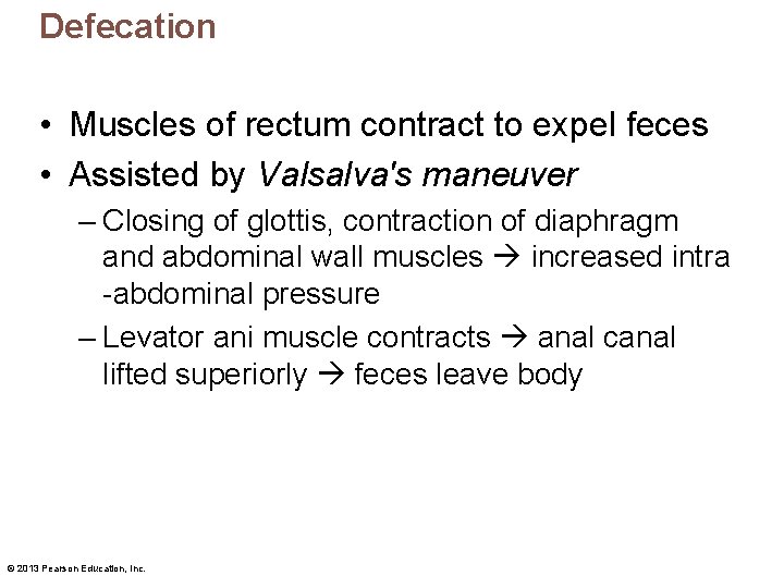 Defecation • Muscles of rectum contract to expel feces • Assisted by Valsalva's maneuver