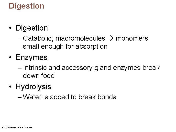 Digestion • Digestion – Catabolic; macromolecules monomers small enough for absorption • Enzymes –