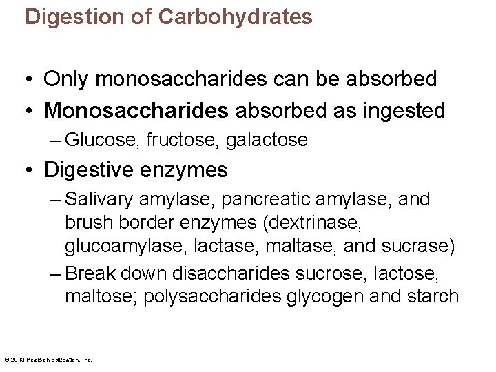 Digestion of Carbohydrates • Only monosaccharides can be absorbed • Monosaccharides absorbed as ingested