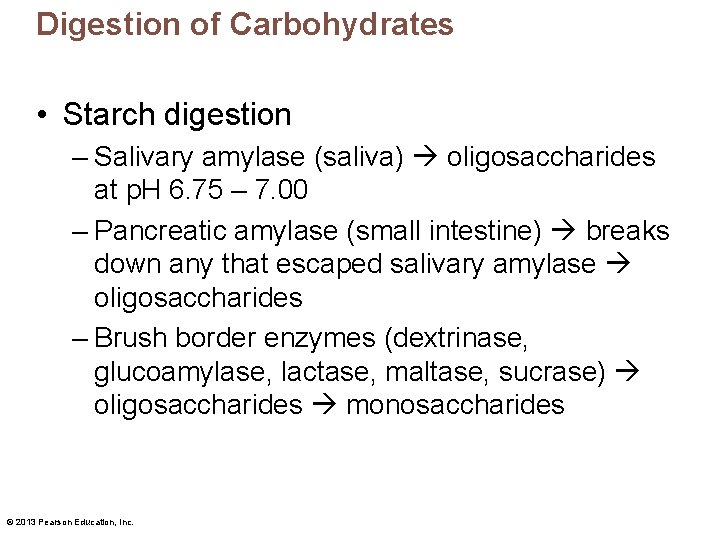 Digestion of Carbohydrates • Starch digestion – Salivary amylase (saliva) oligosaccharides at p. H