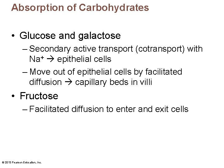 Absorption of Carbohydrates • Glucose and galactose – Secondary active transport (cotransport) with Na+