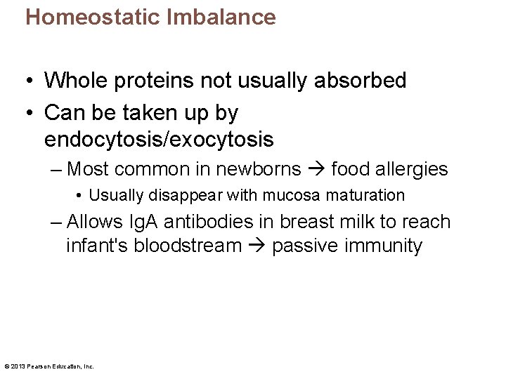 Homeostatic Imbalance • Whole proteins not usually absorbed • Can be taken up by