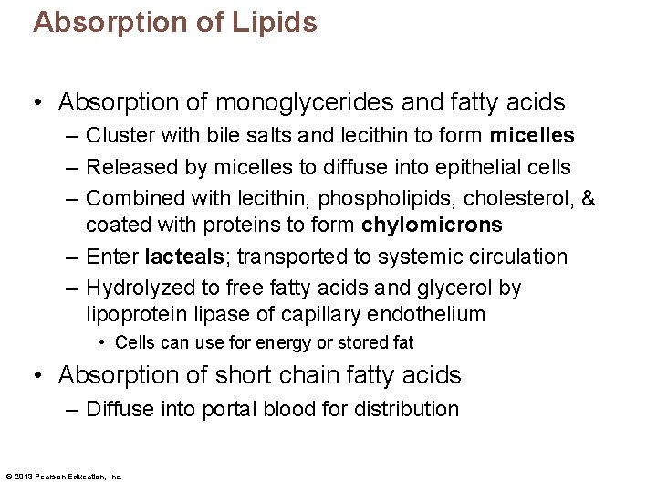Absorption of Lipids • Absorption of monoglycerides and fatty acids – Cluster with bile