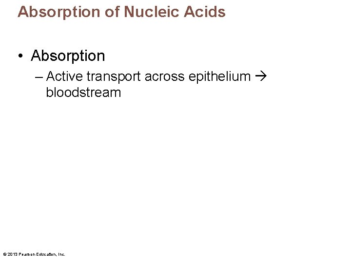 Absorption of Nucleic Acids • Absorption – Active transport across epithelium bloodstream © 2013
