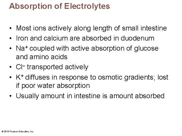 Absorption of Electrolytes • Most ions actively along length of small intestine • Iron
