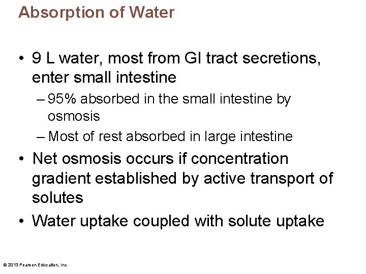 Absorption of Water • 9 L water, most from GI tract secretions, enter small