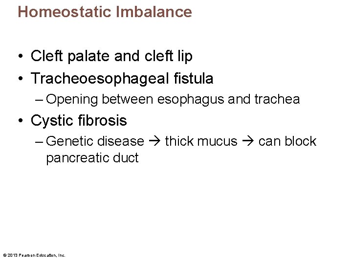Homeostatic Imbalance • Cleft palate and cleft lip • Tracheoesophageal fistula – Opening between